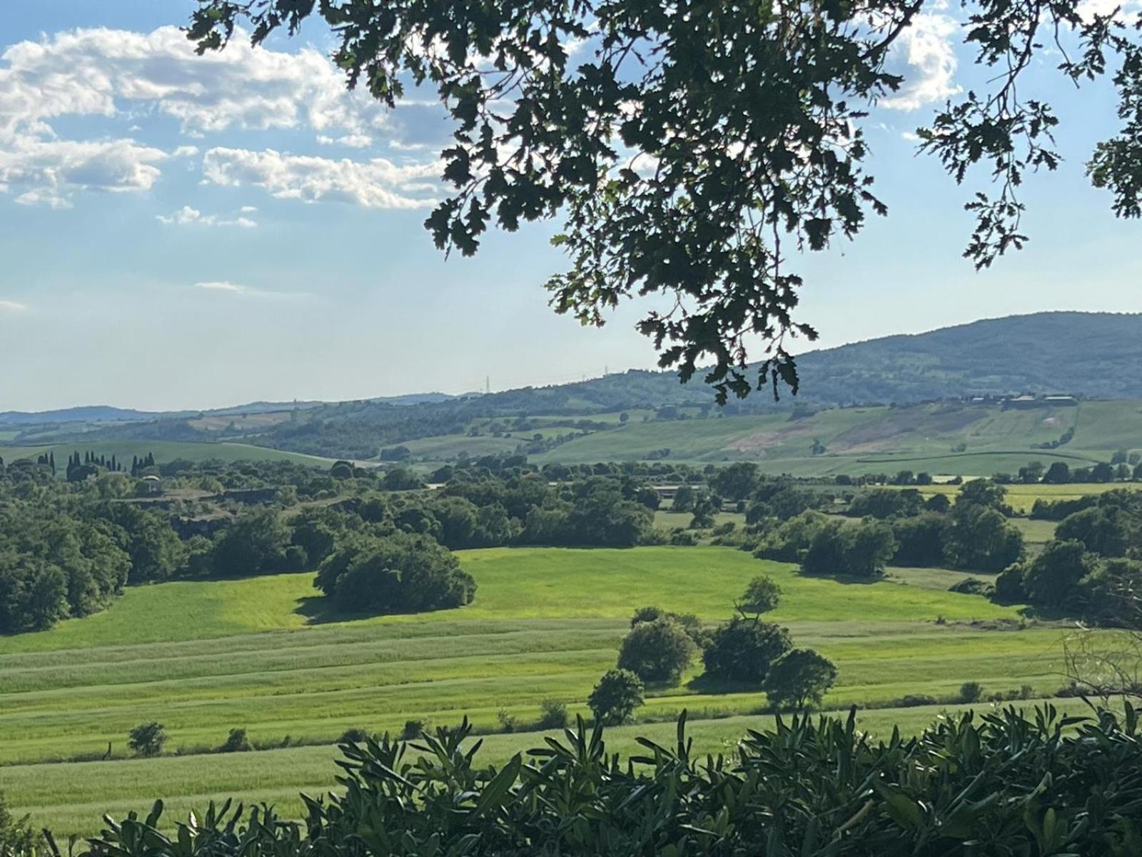 Agriturismo La Castellina ساتورنيا المظهر الخارجي الصورة
