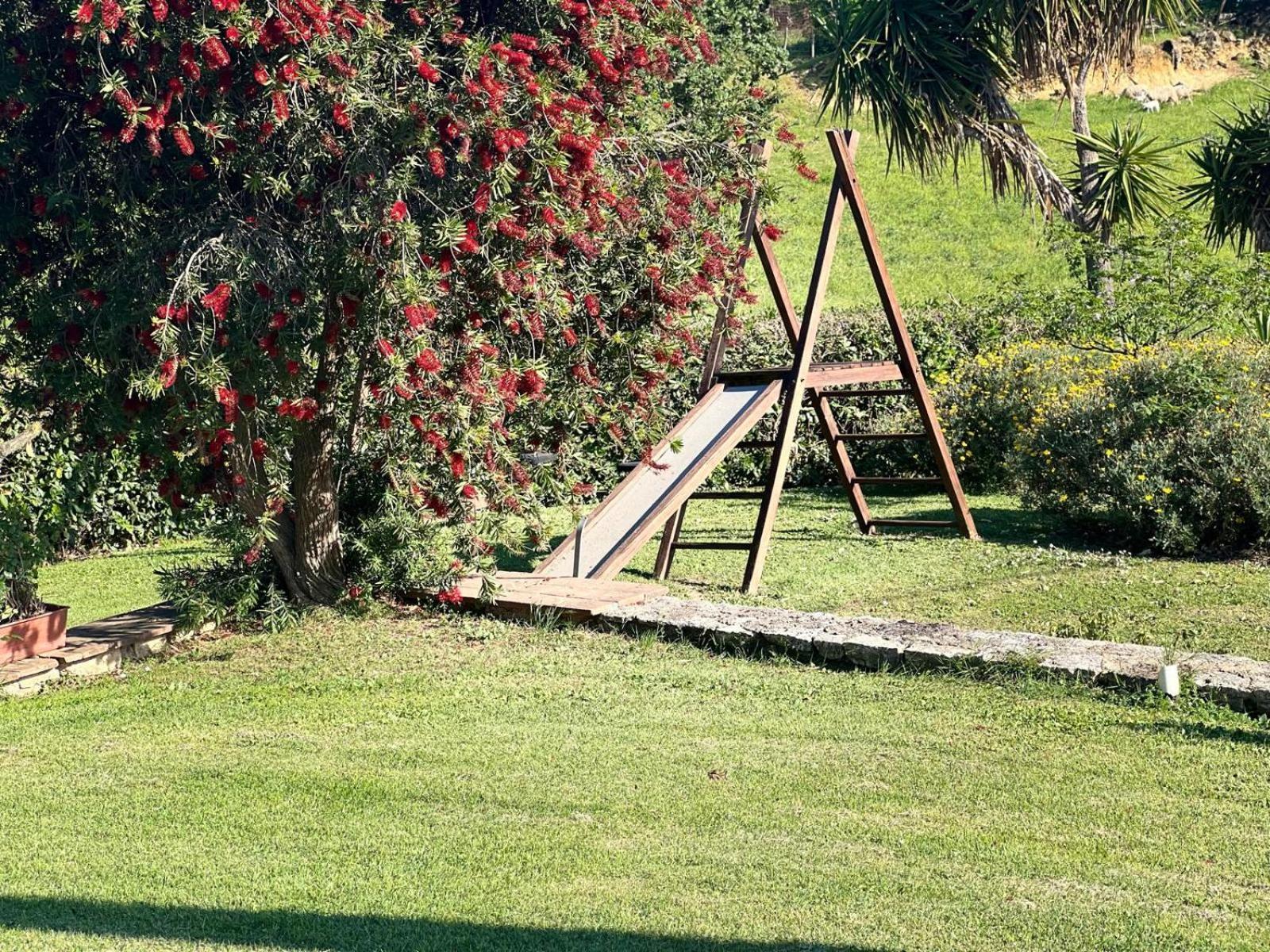 Agriturismo La Castellina ساتورنيا المظهر الخارجي الصورة