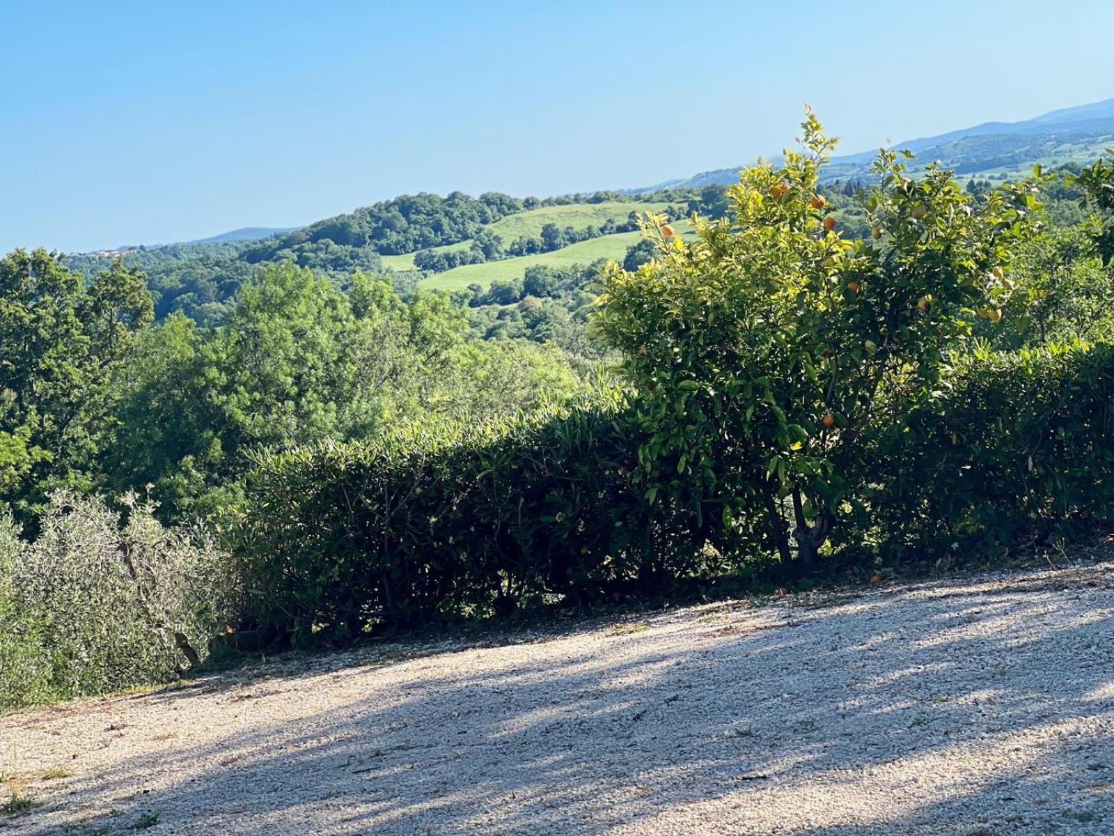 Agriturismo La Castellina ساتورنيا المظهر الخارجي الصورة