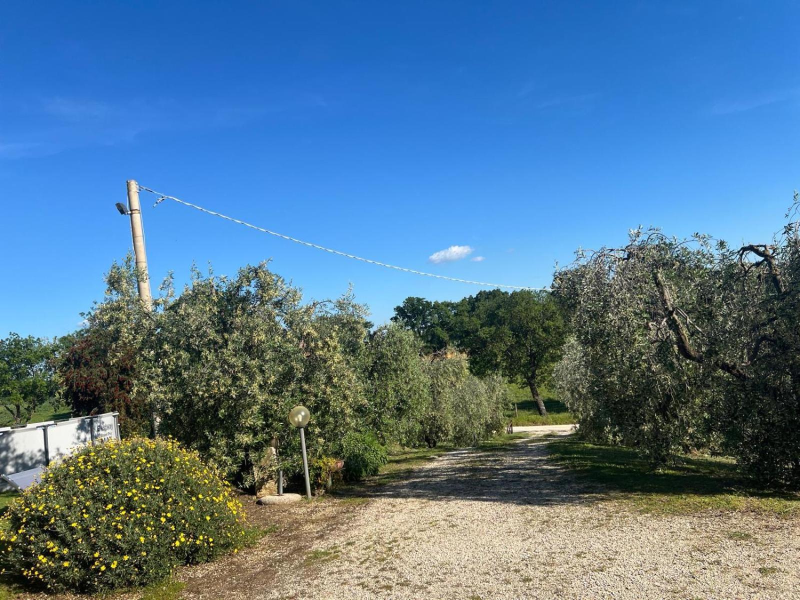 Agriturismo La Castellina ساتورنيا المظهر الخارجي الصورة